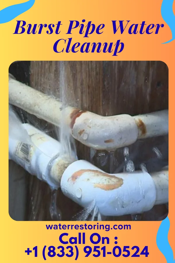 Burst Pipe Water Cleanup in Calverton, MD
