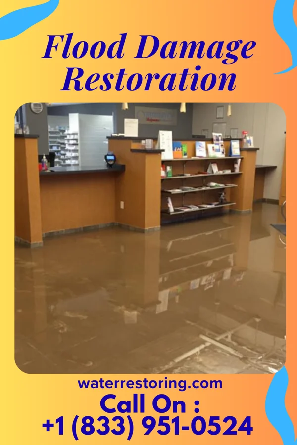 Flood Damage Restoration in Calverton, MD