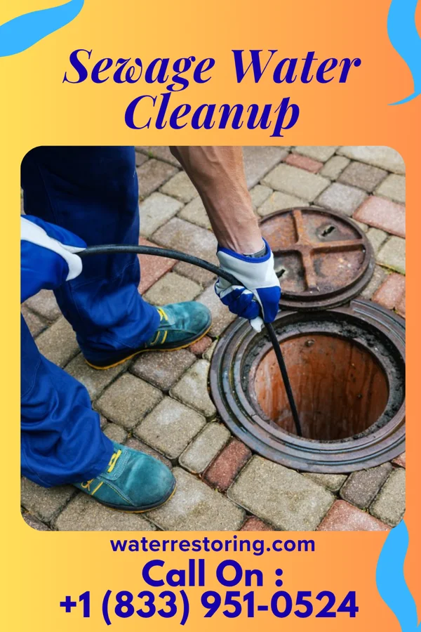 Sewage Water Cleanup in Calverton, MD